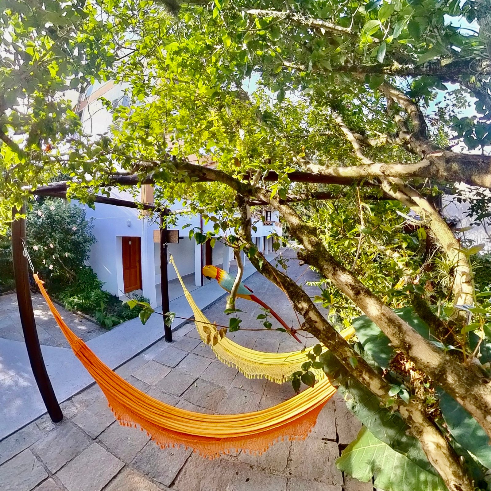 Jardim com Redes 3