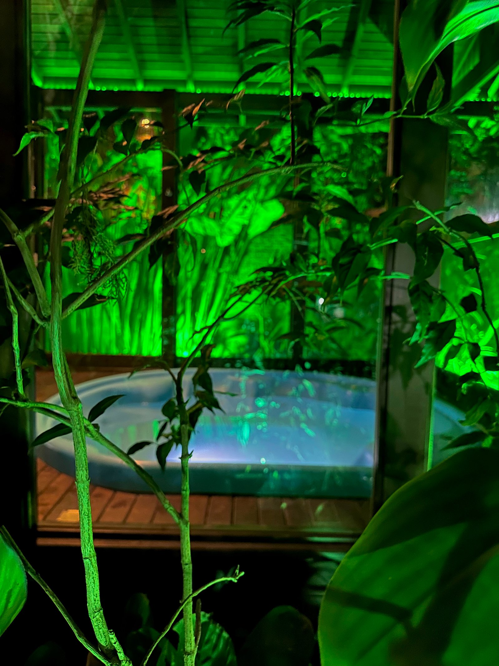 Área externa do Hotel com jardim e vegetação nativa