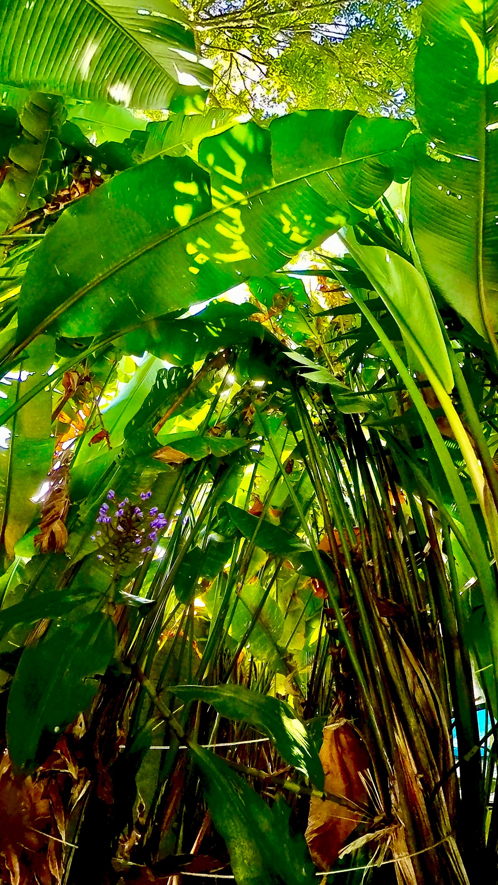 Área de lazer externa do Hotel com jardim