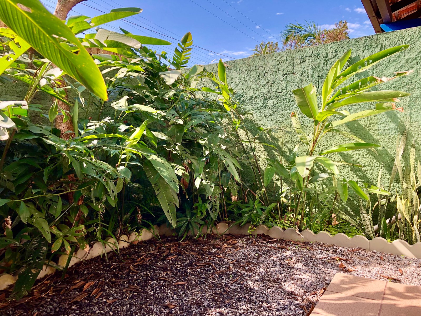 Suíte Térrea com Jardim 2