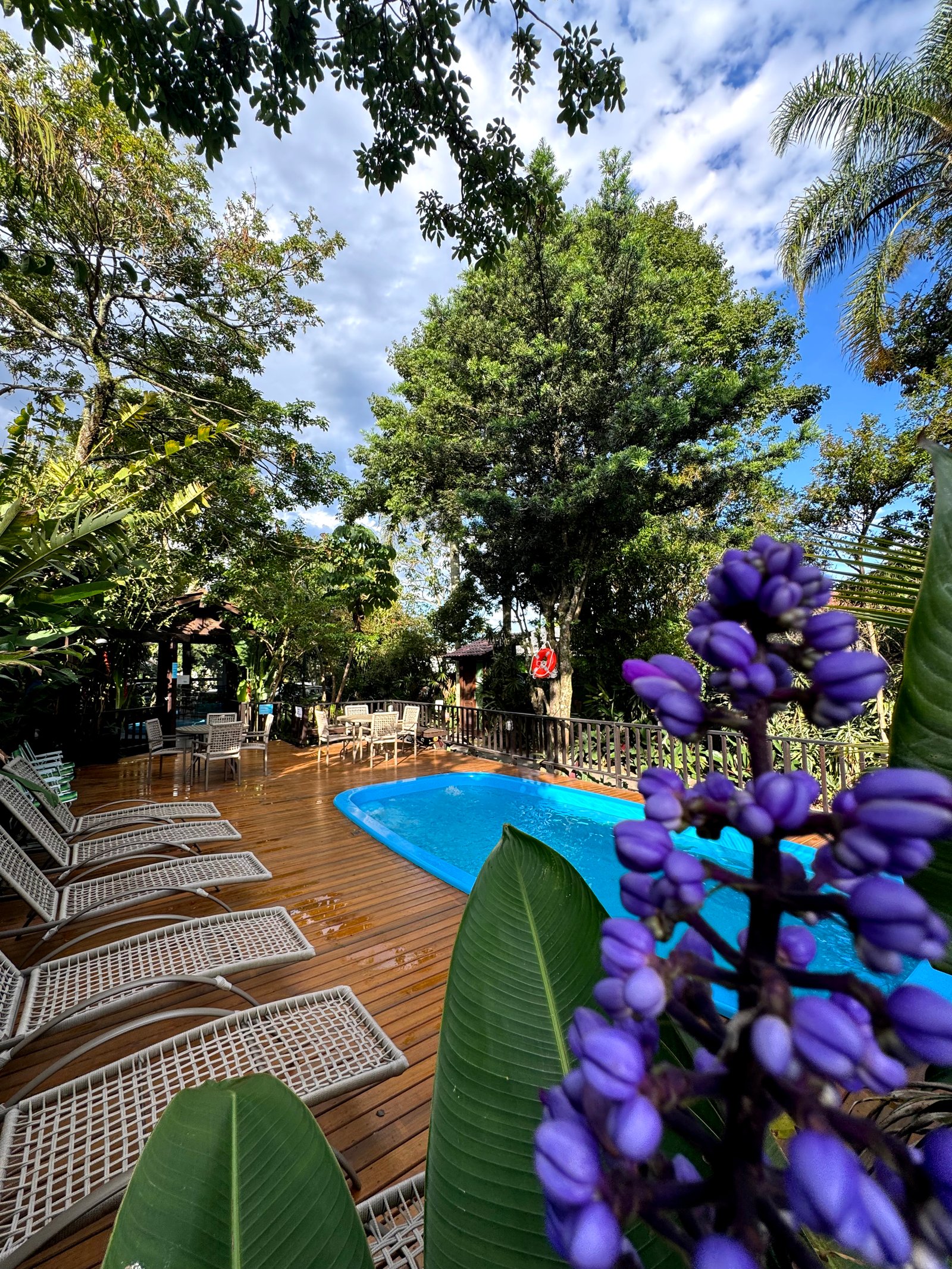 Hotel Natur Campeche - Foto 6