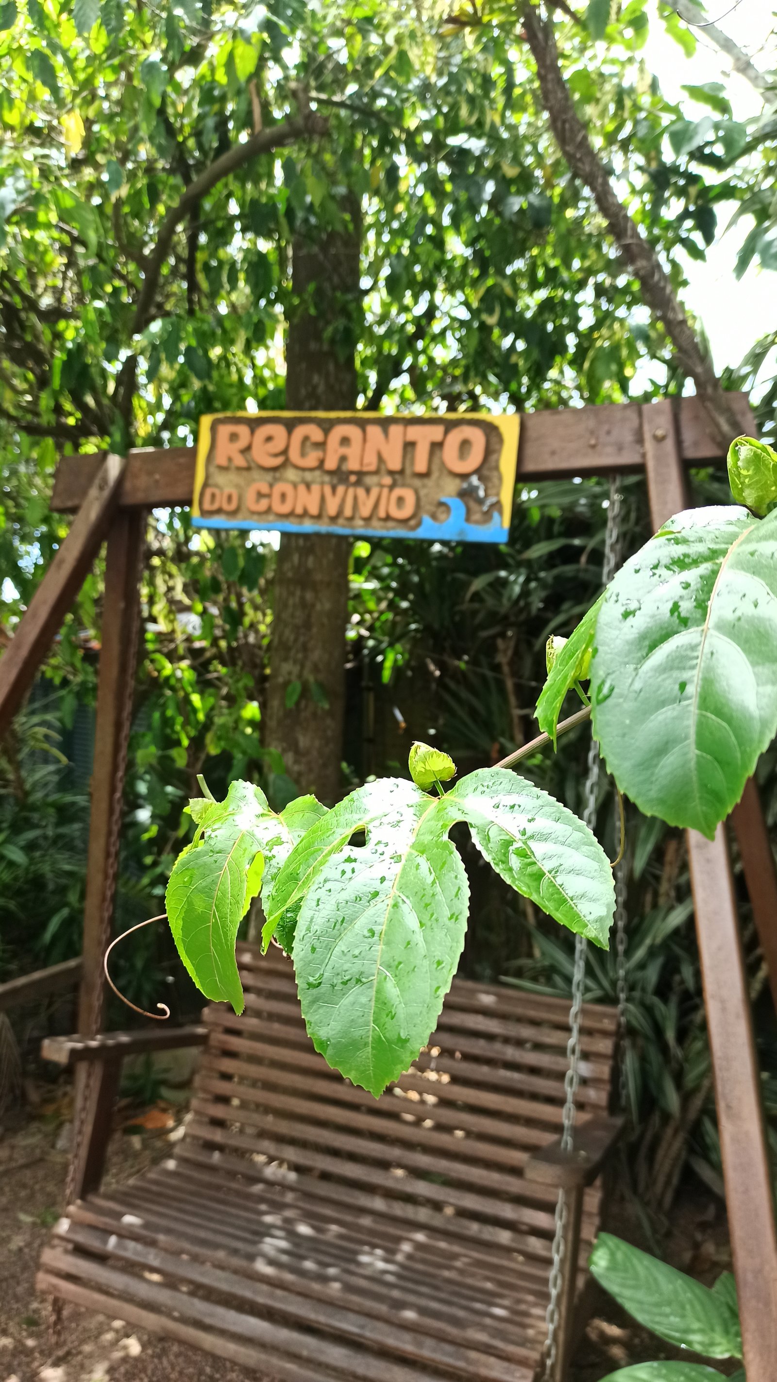 Hotel Natur Campeche - Foto 16