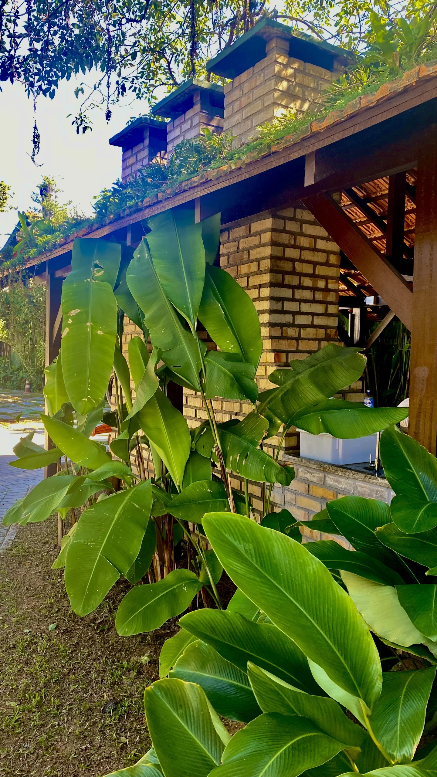 Hotel Natur Campeche - Foto 28