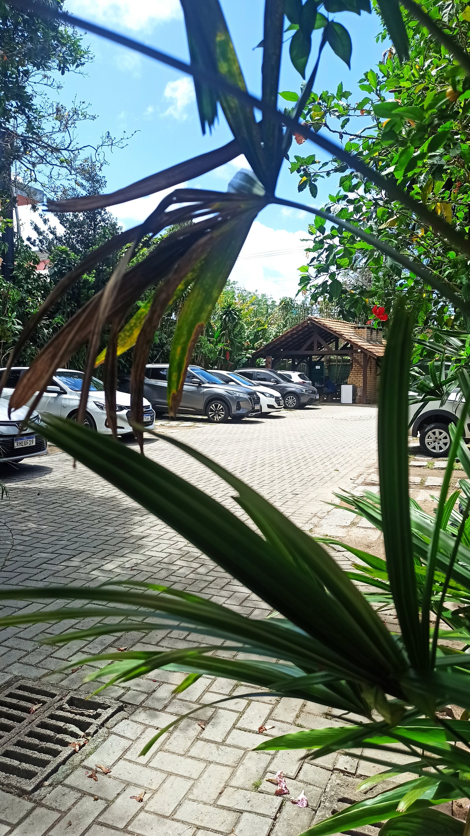 Hotel Natur Campeche - Foto 55