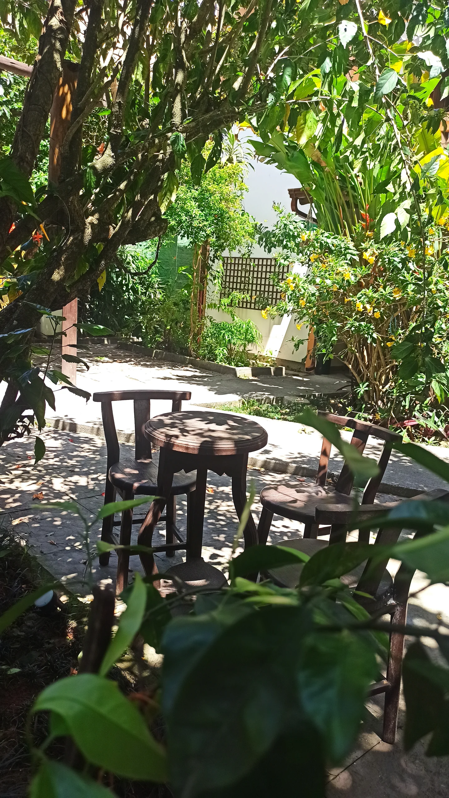 Hotel Natur Campeche - Foto 60