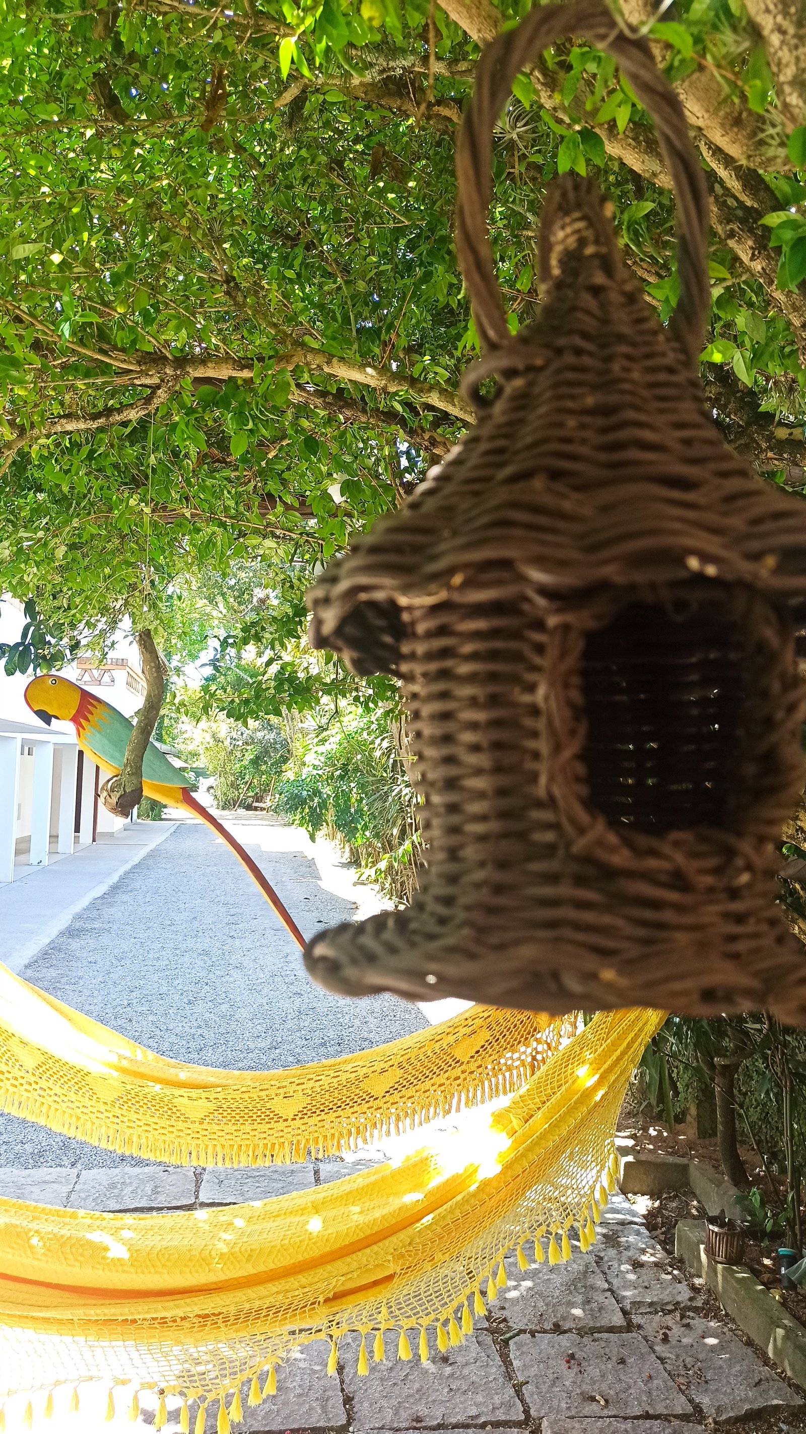 Hotel Natur Campeche - Foto 62