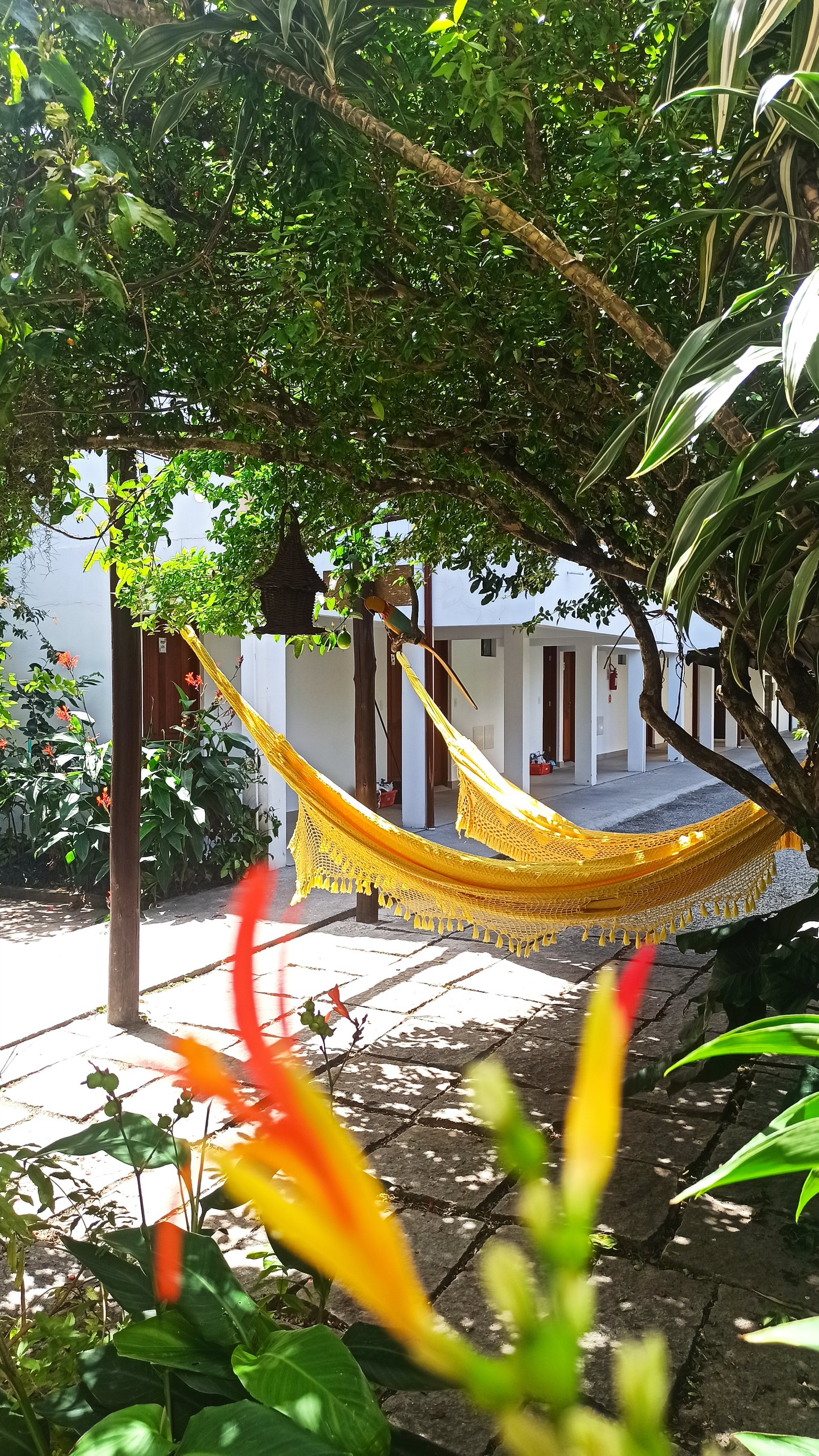 Hotel Natur Campeche - Foto 63