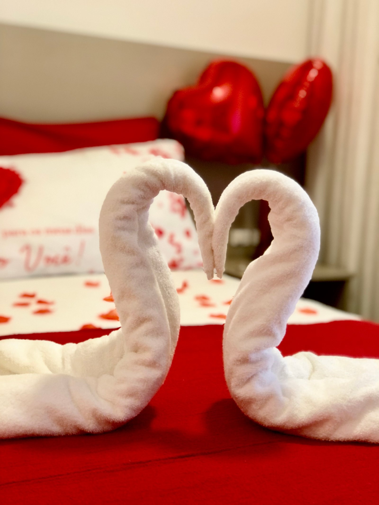 Hotel Natur Campeche - Foto 83