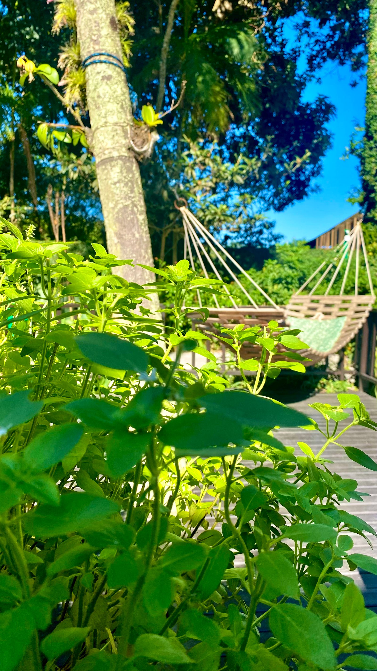 Hotel Natur Campeche - Foto 87