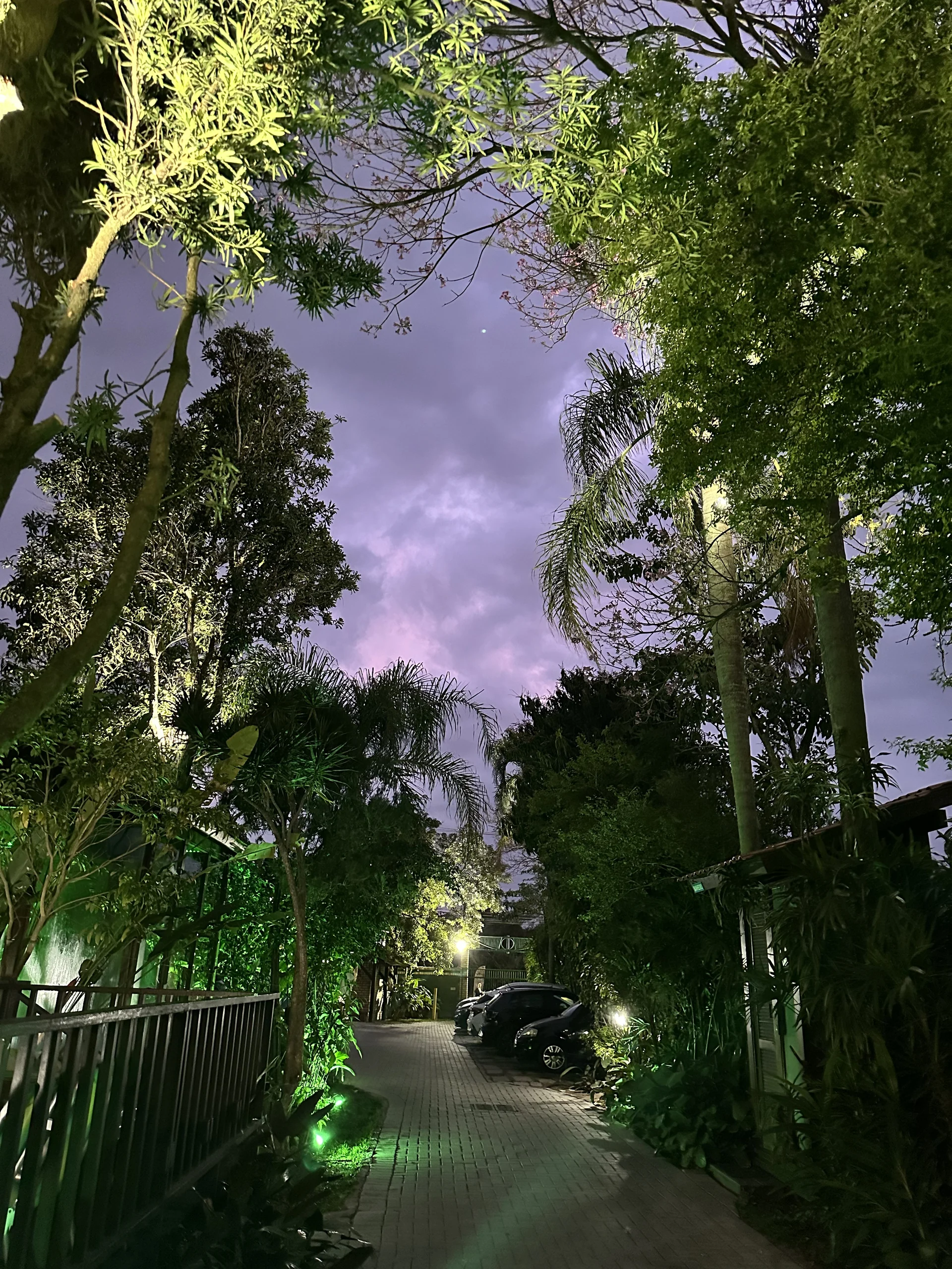 Hotel Natur Campeche - Foto 91