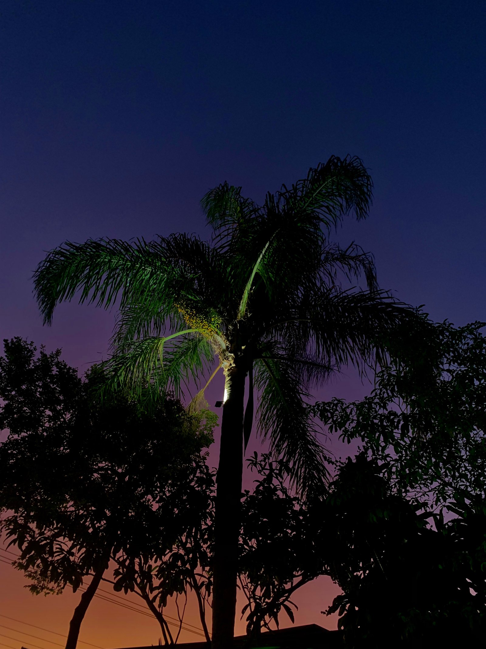 Hotel Natur Campeche - Foto 135