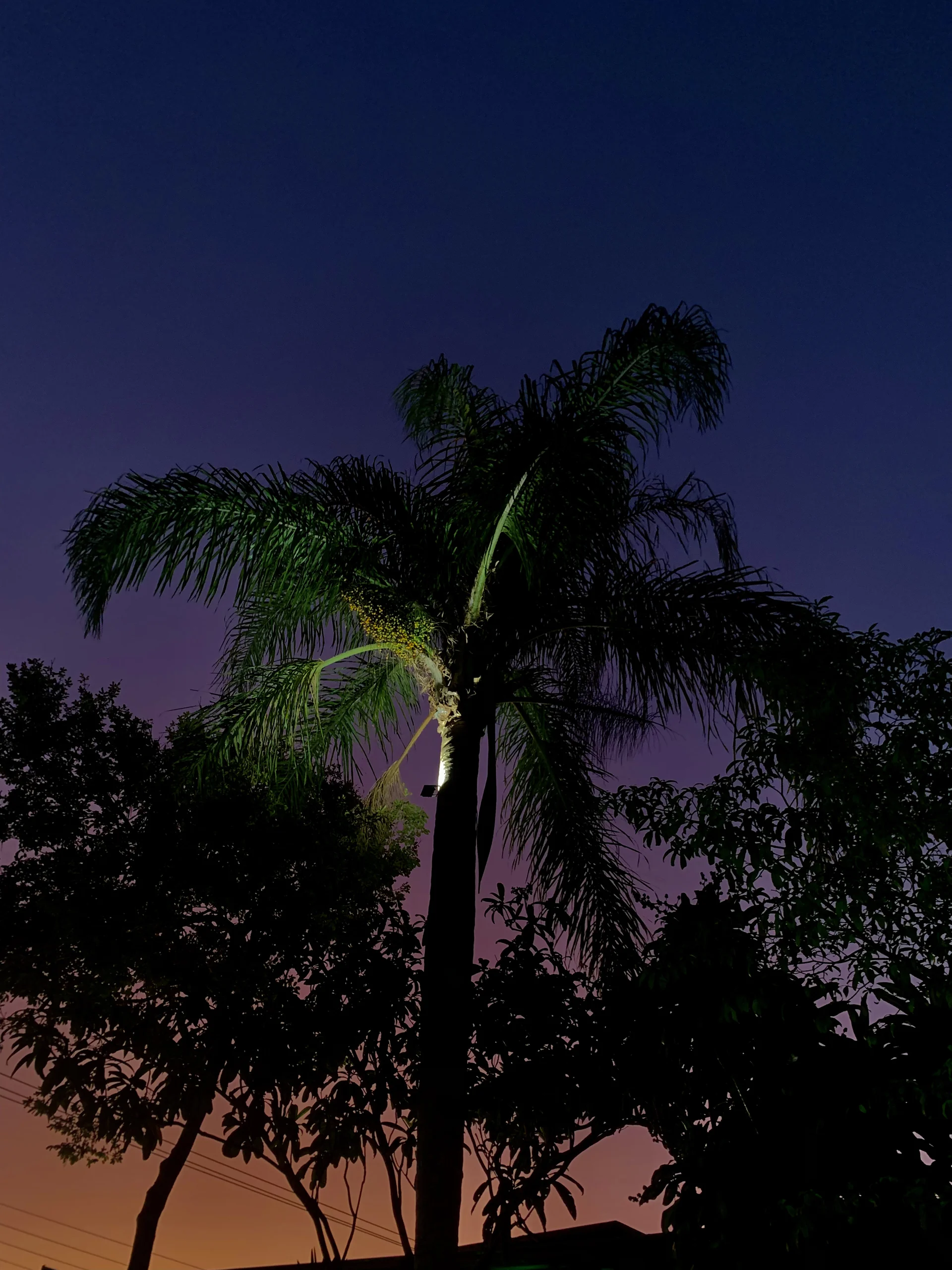 Hotel Natur Campeche - Foto 135