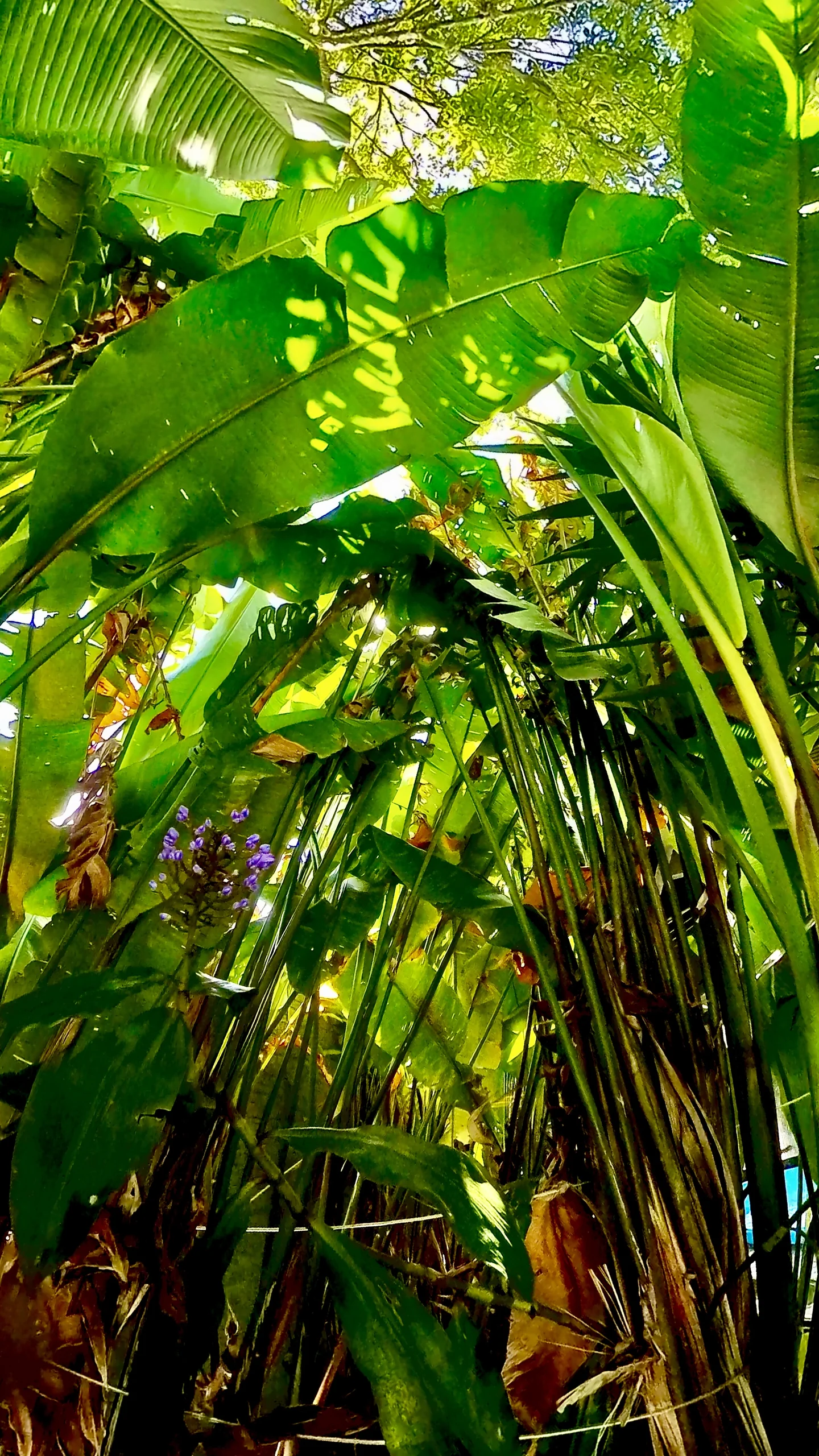 Hotel Natur Campeche - Foto 141