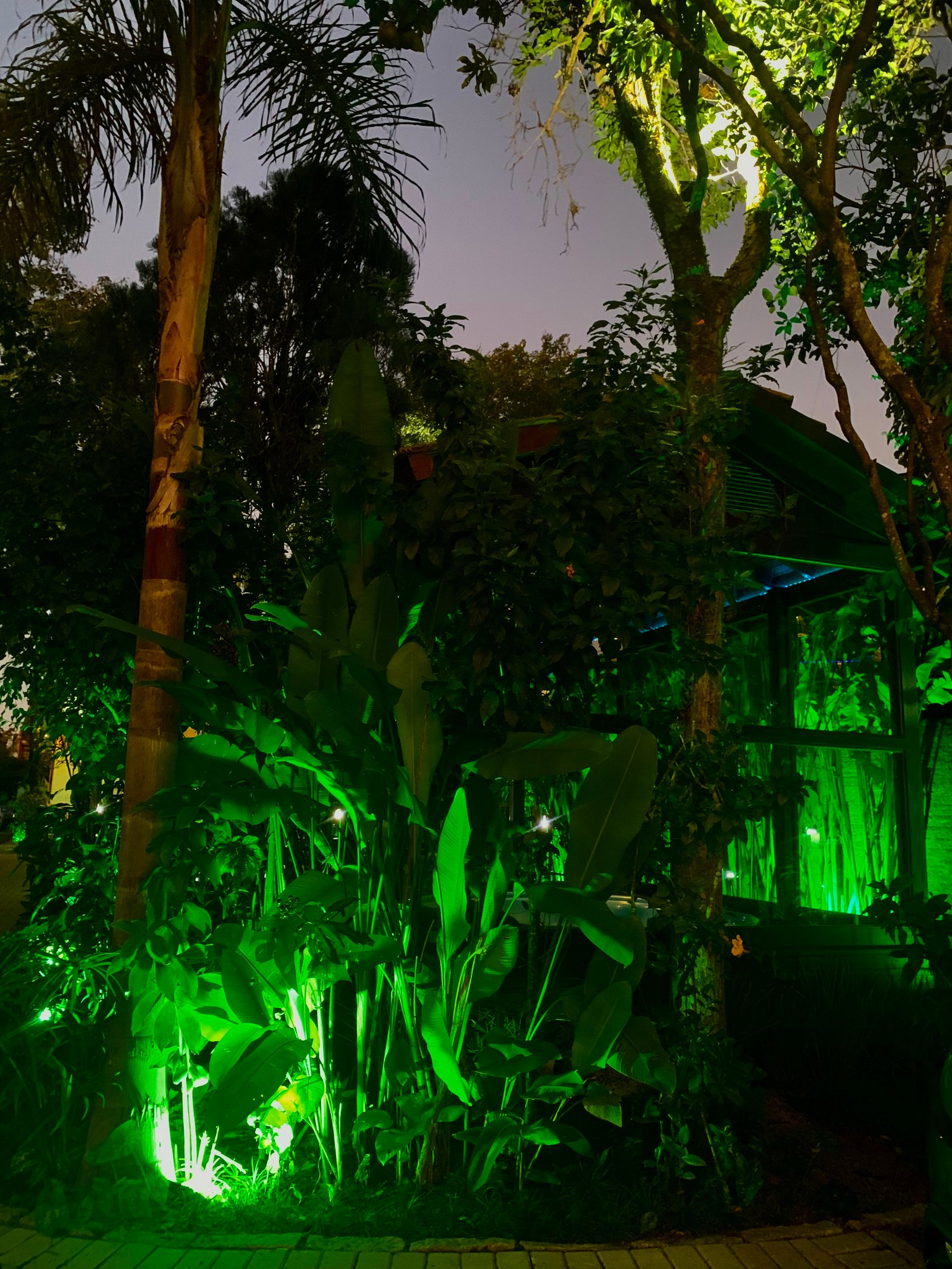 Hotel Natur Campeche - Foto 142