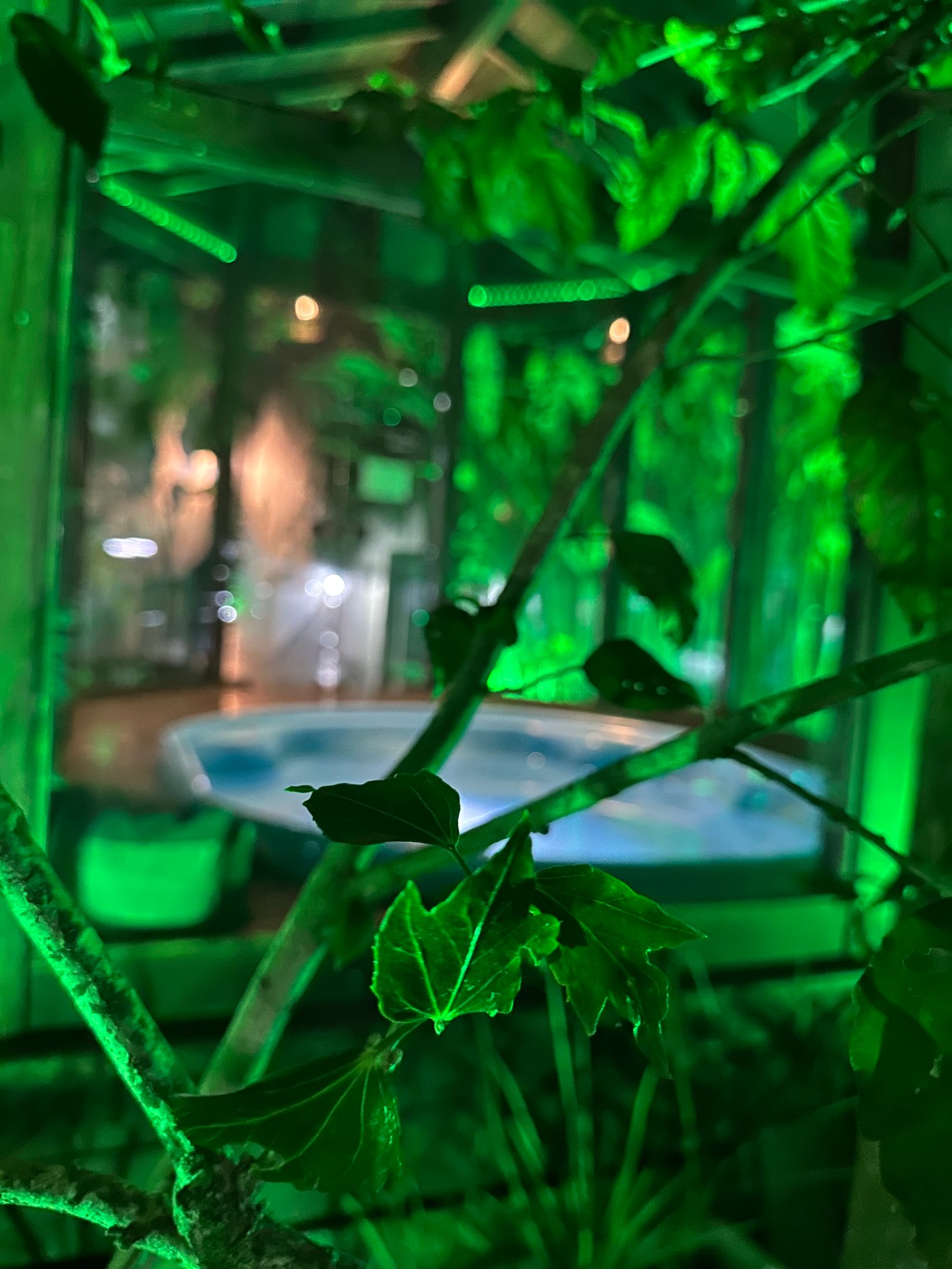 Hotel Natur Campeche - Foto 150