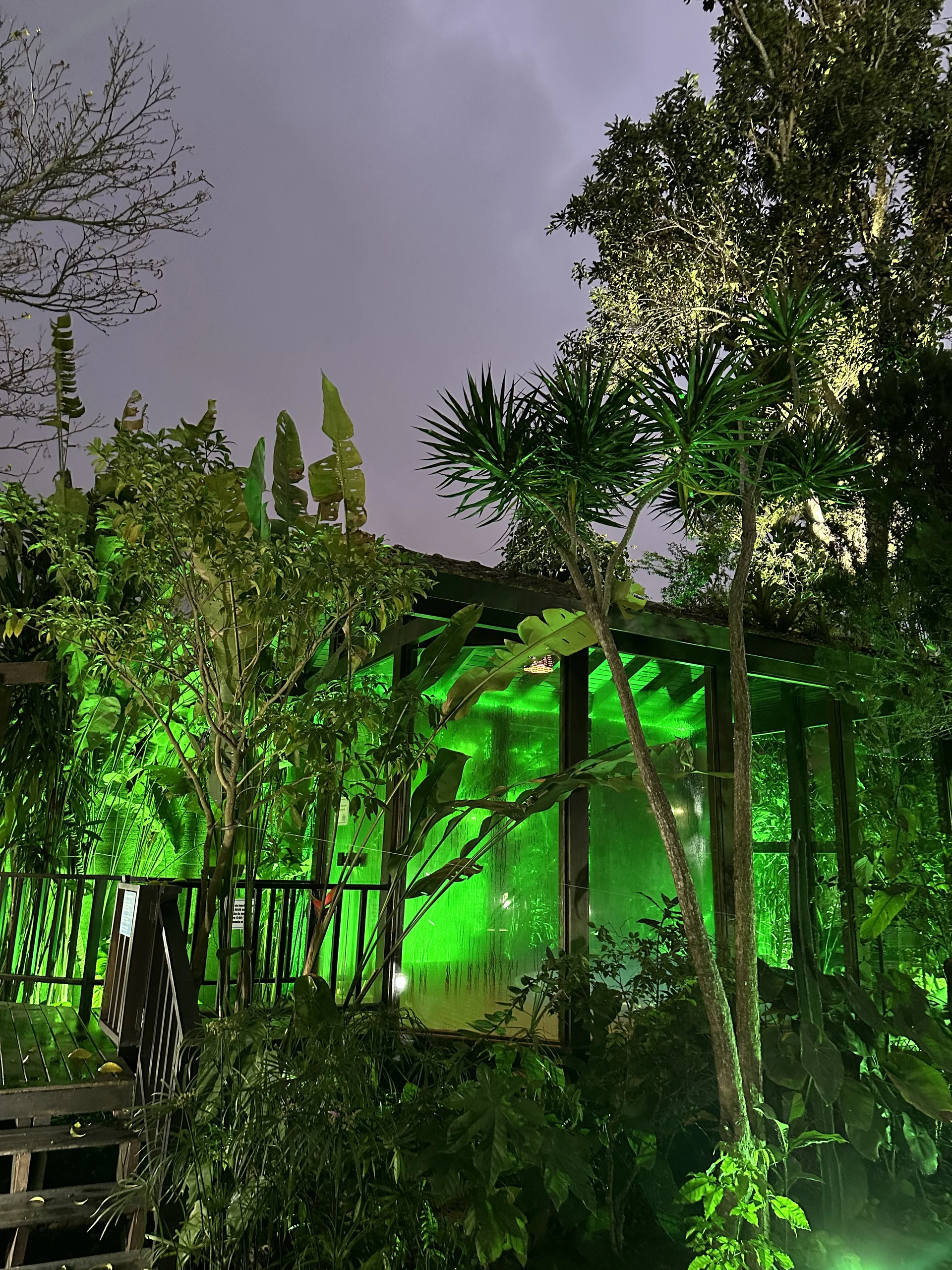 Hotel Natur Campeche - Foto 152