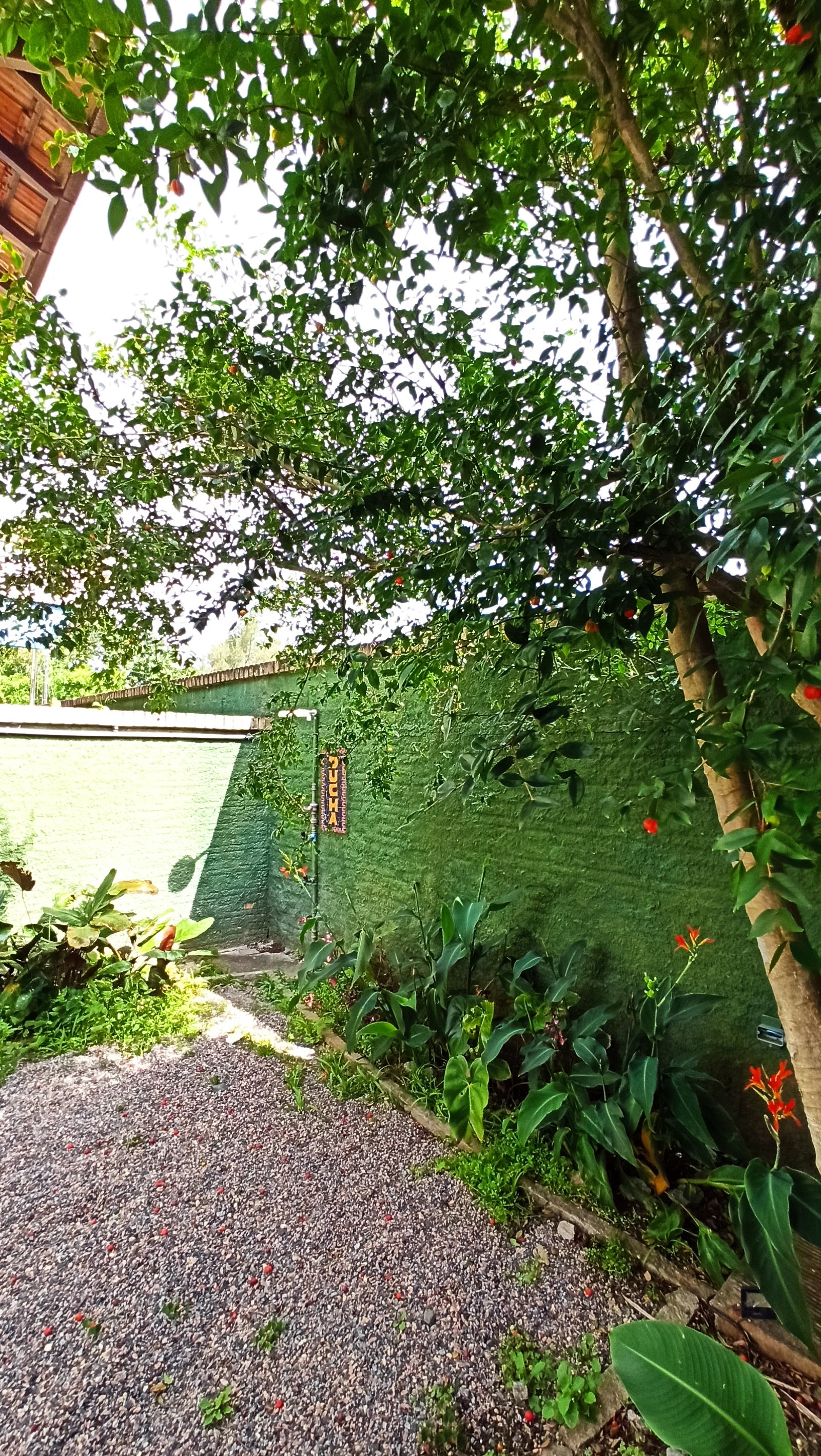 Pousada Natur Campeche - Pitangueira