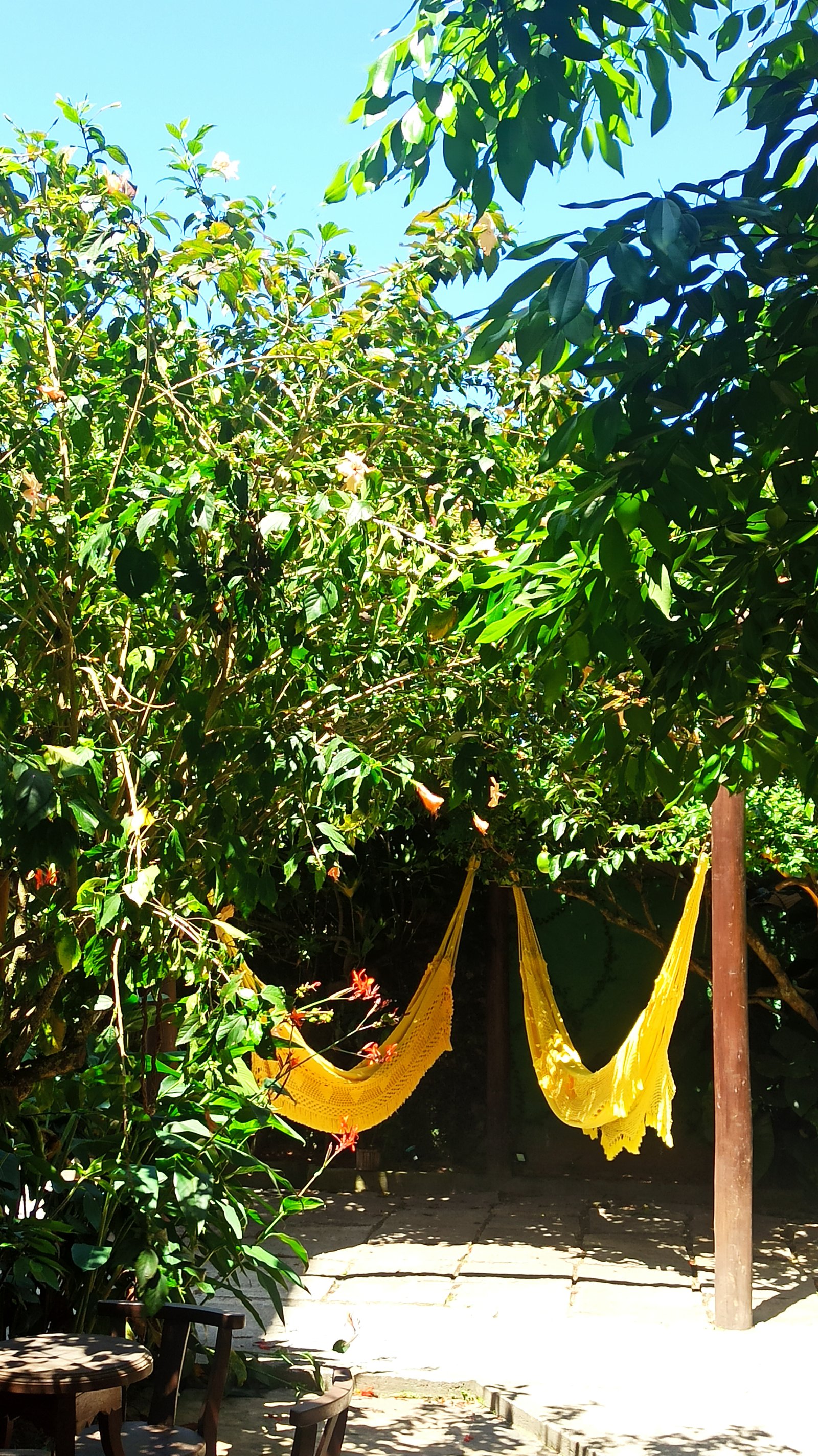 Jardim com redes do Hotel Natur Campeche 6