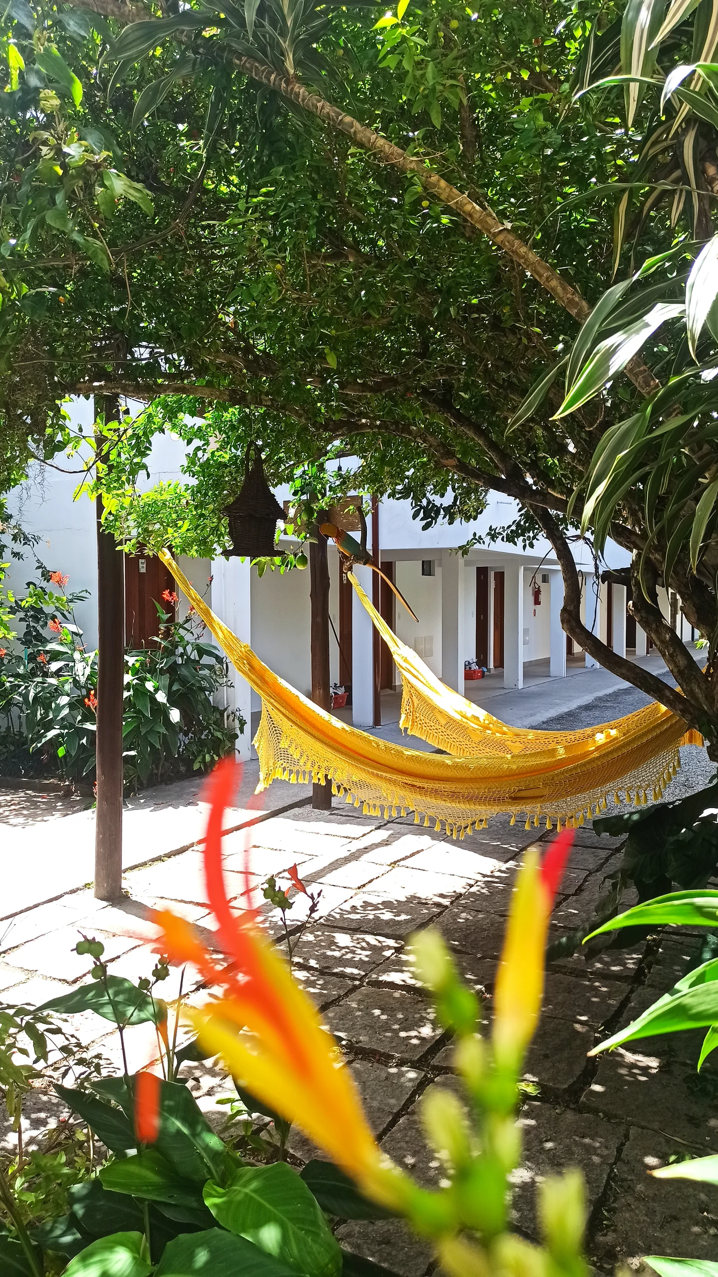 Redes de descanso no jardim do Natur Campeche