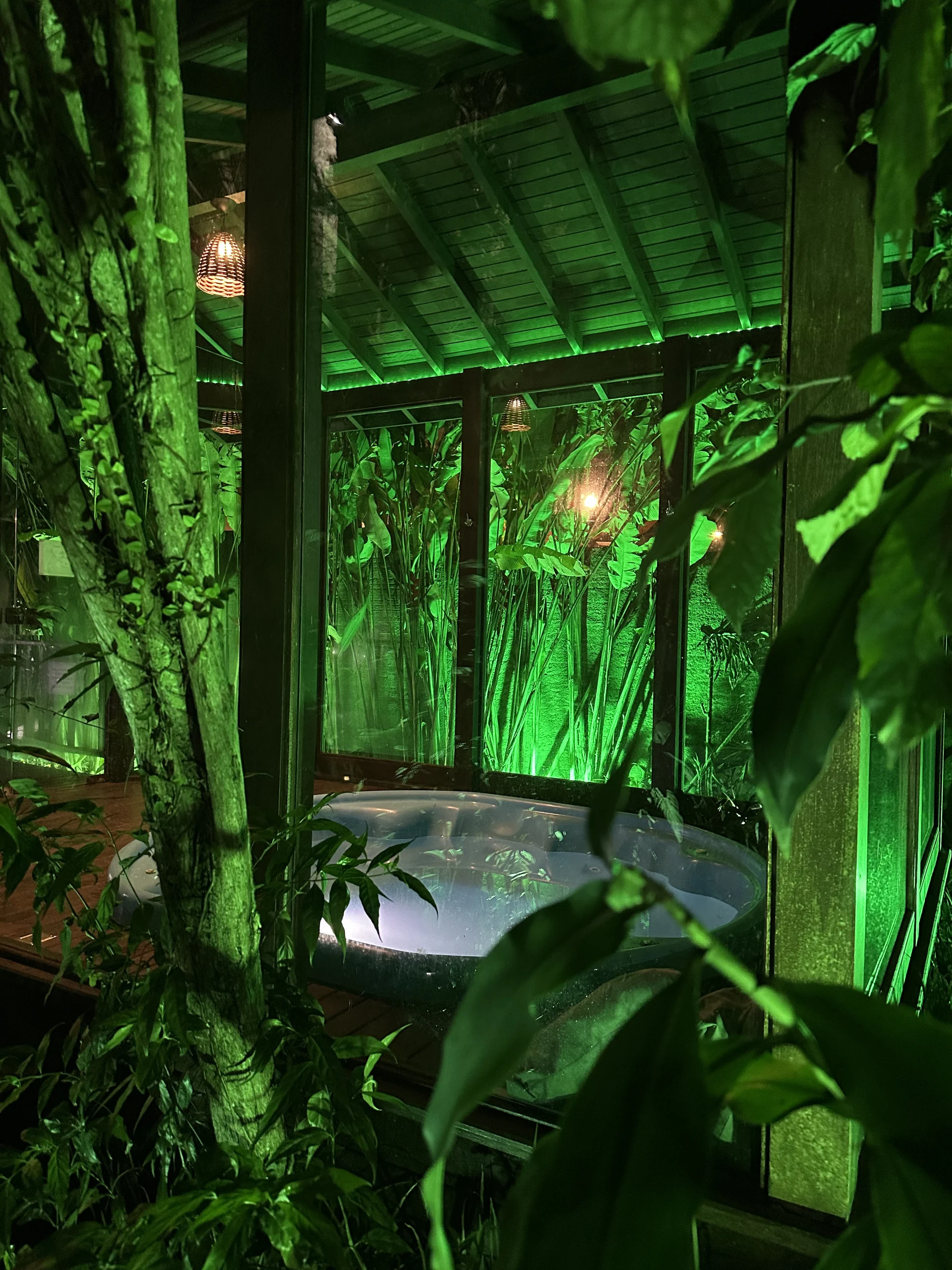 Hospedagem em meio à natureza