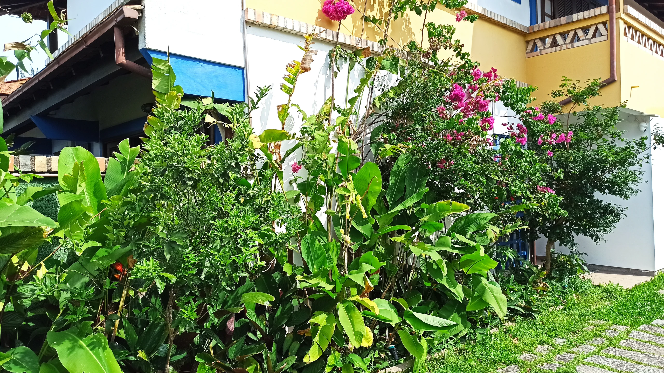 Jardim Florido da Pousada - Foto 1