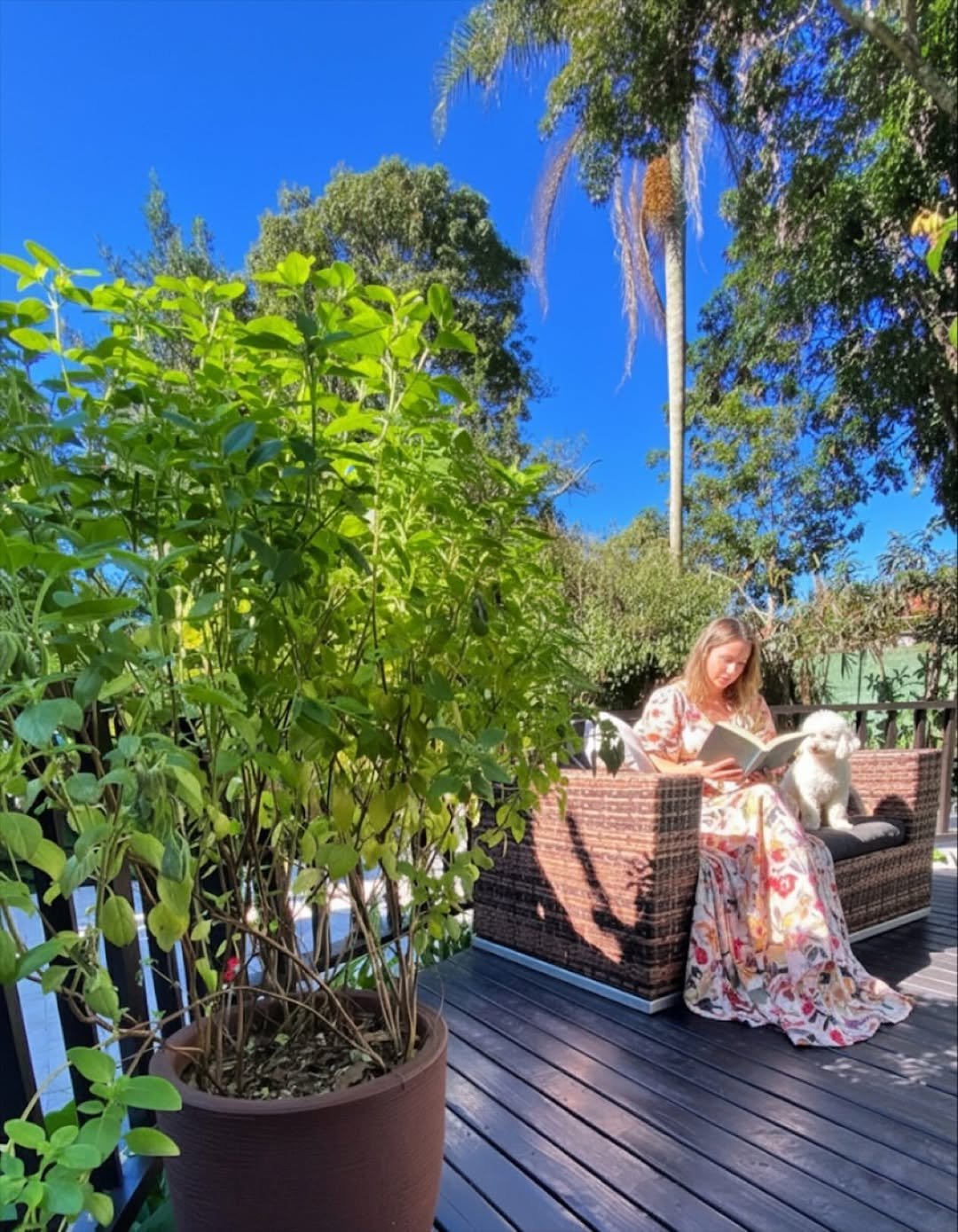 Pet Friendly - Foto 2